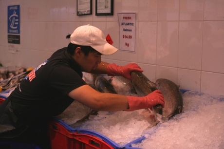 Sydney Christmas 2012 - Fish Markets #4