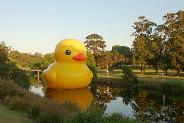 Rubber Duck - Sydney Festival 2014